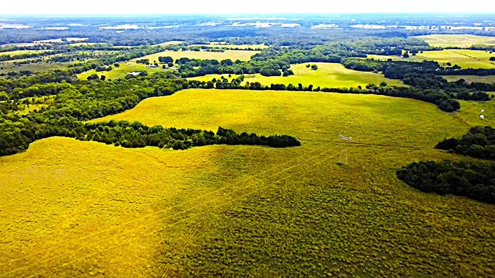 COUNTY RD 13600 CIRCLE Paris, TX 75462