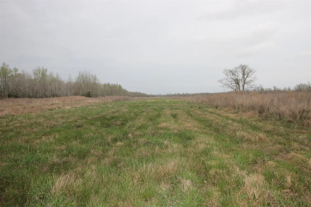43 County Road 2355 Liberty, TX 77575