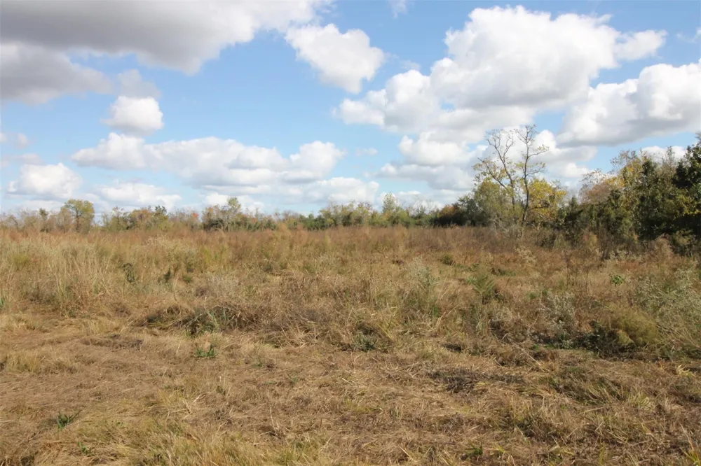 43 County Road 2355 Liberty, TX 77575