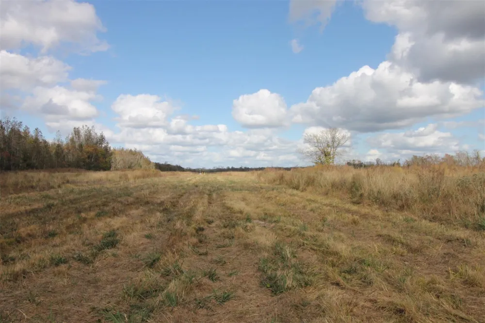 43 County Road 2355 Liberty, TX 77575