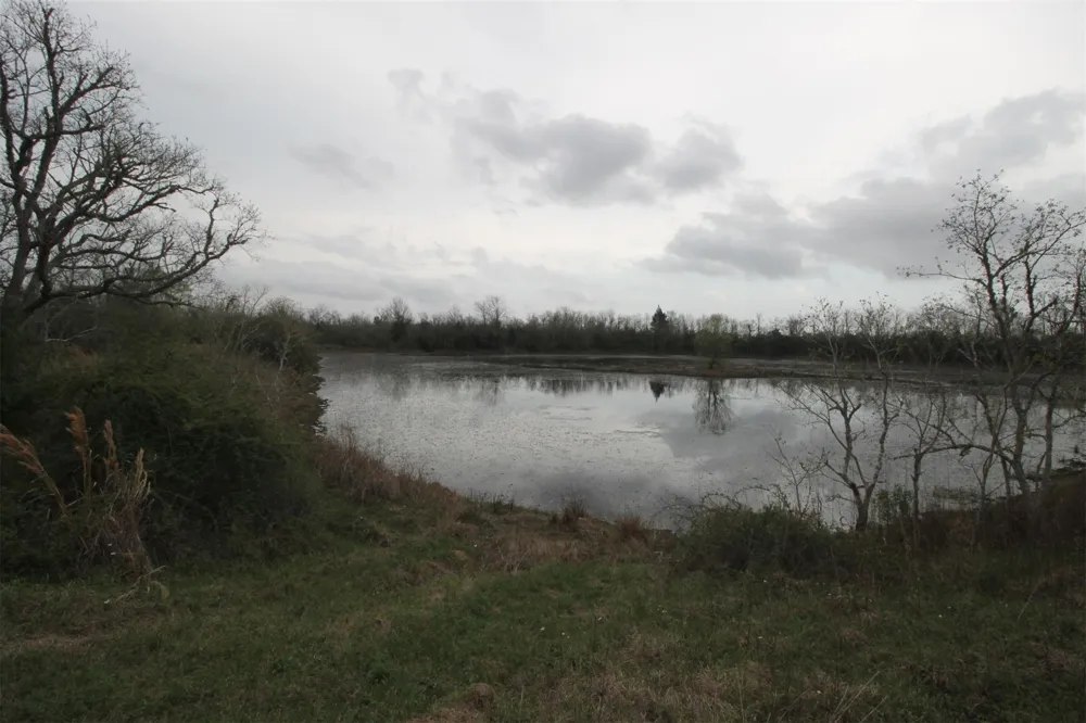 43 County Road 2355 Liberty, TX 77575