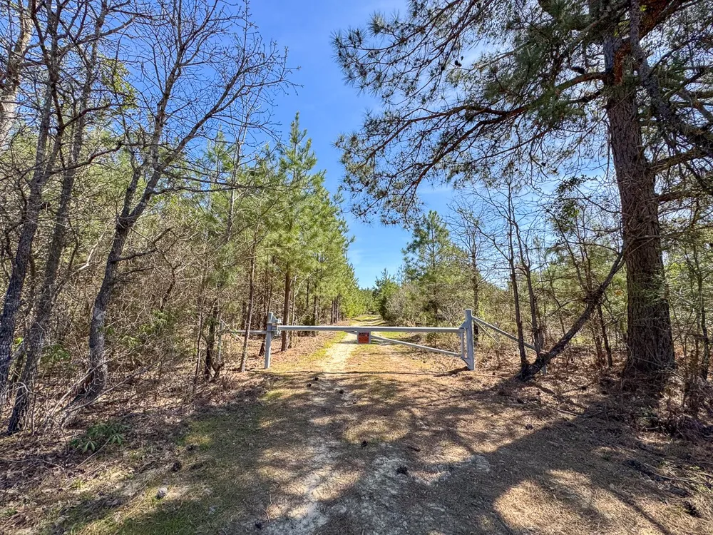 14 United Gas Road 1 Rodessa, LA 71069