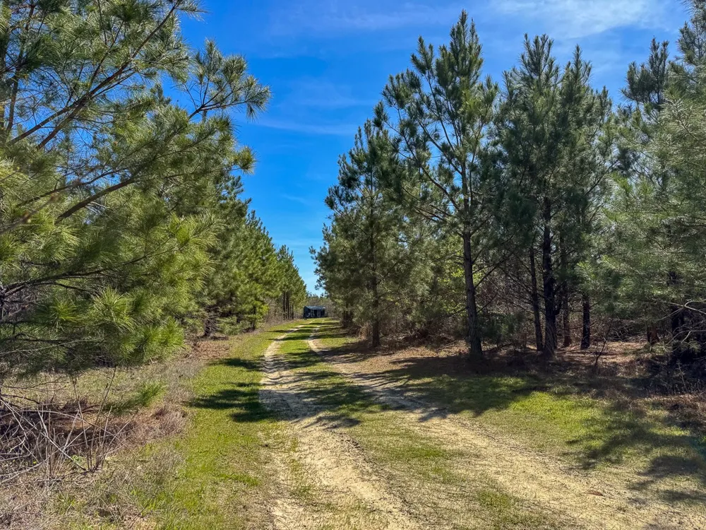 14 United Gas Road 1 Rodessa, LA 71069