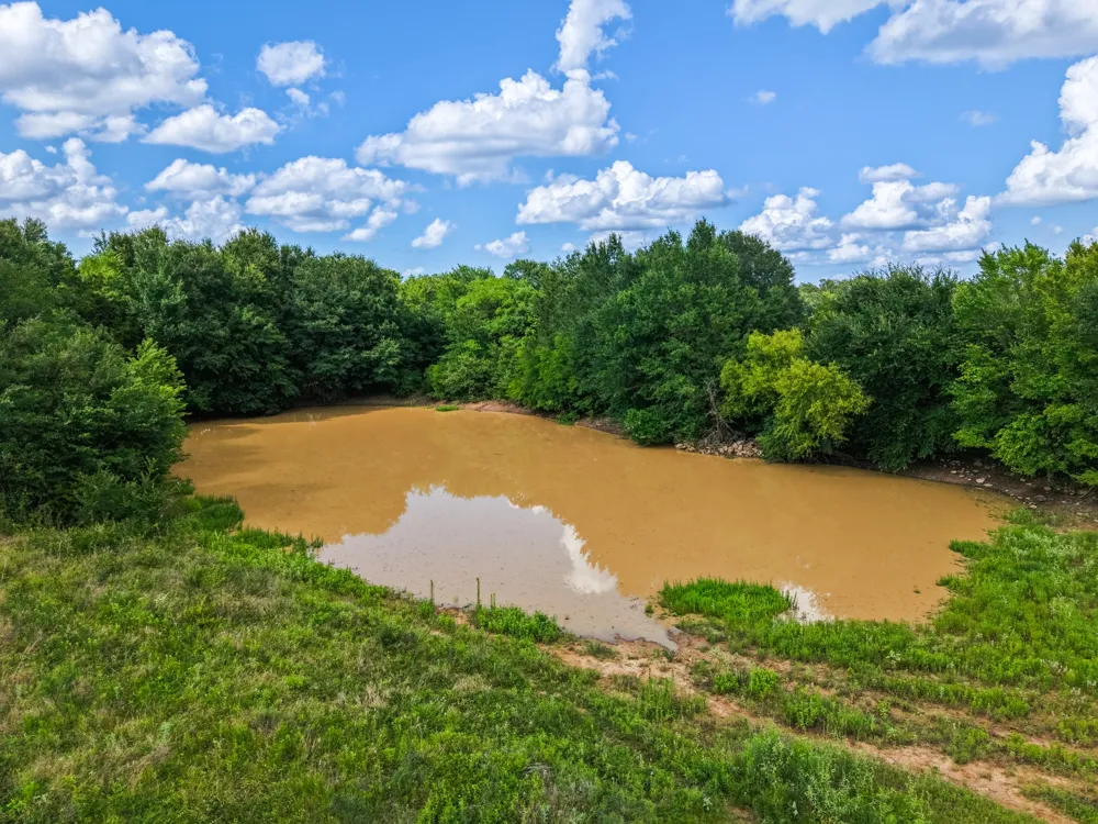 Lcr 238 ACRES 17.8 Mexia, TX 76667