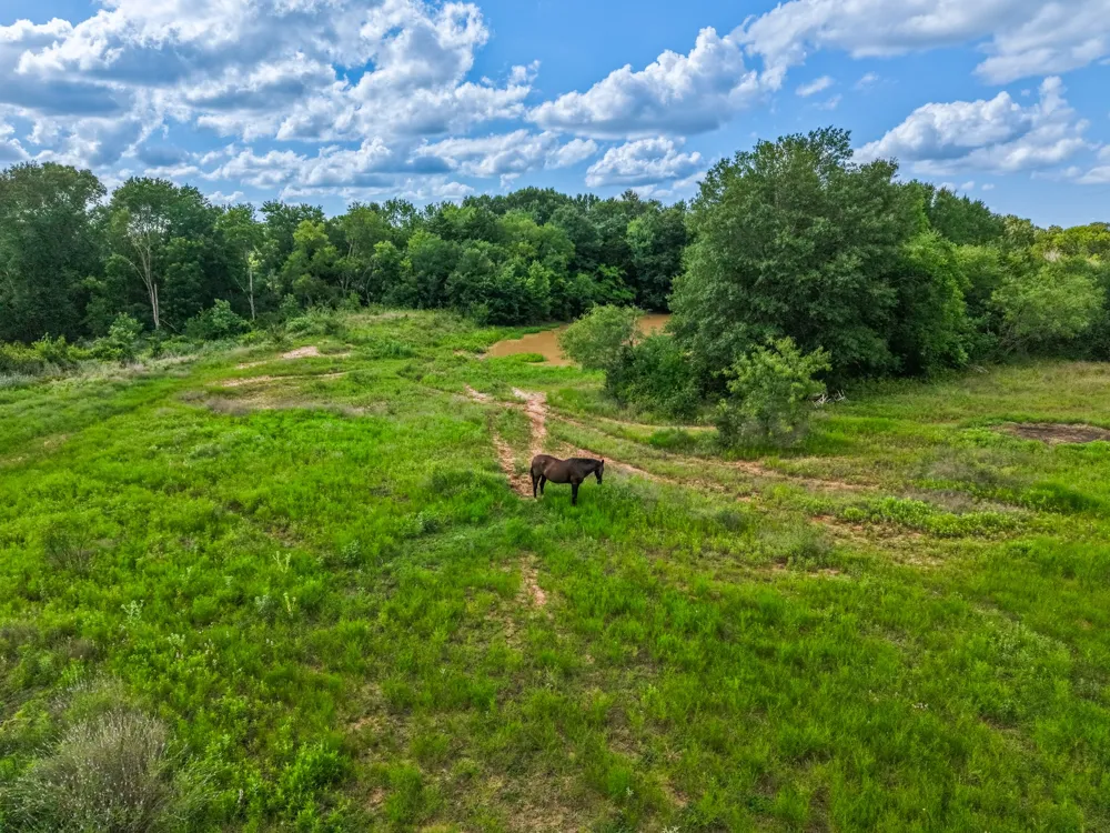 Lcr 238 ACRES 17.8 Mexia, TX 76667