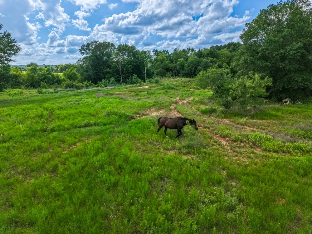 Lcr 238 ACRES 17.8 Mexia, TX 76667
