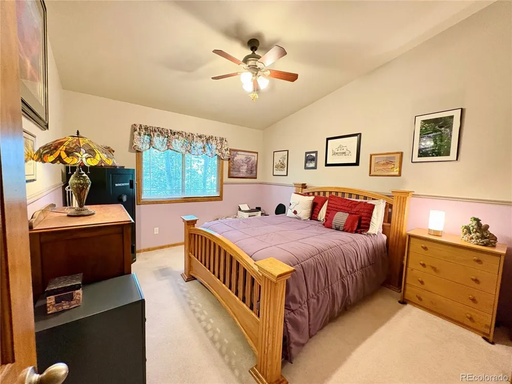 16602 Holly Court Buena Vista, CO 81211