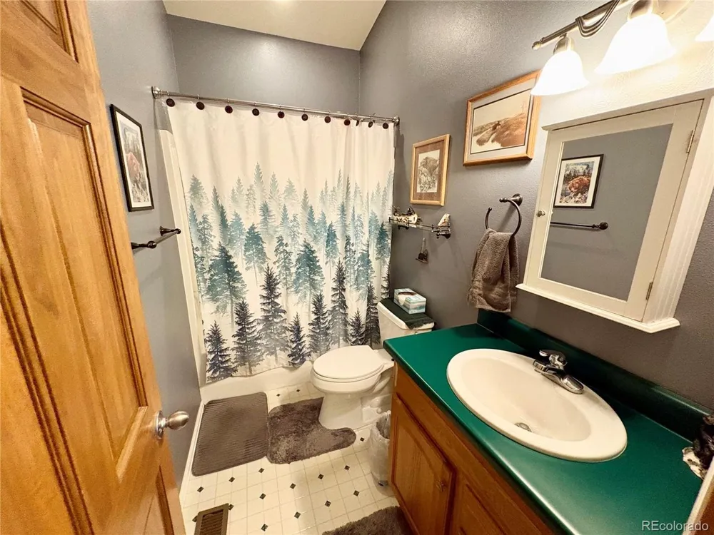 16602 Holly Court Buena Vista, CO 81211