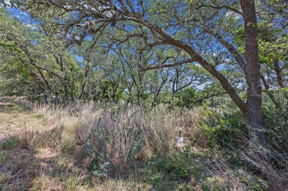 1364 N Walnut Springs Drive Johnson City, TX 78636