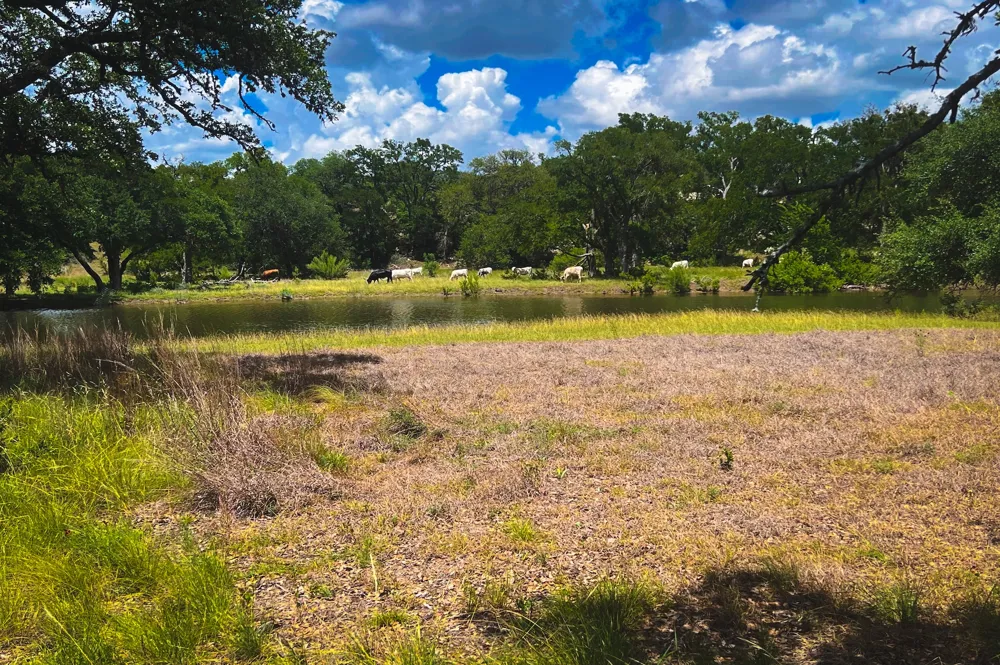 1364 N Walnut Springs Drive Johnson City, TX 78636