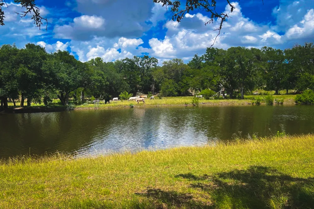 1364 N Walnut Springs Drive Johnson City, TX 78636