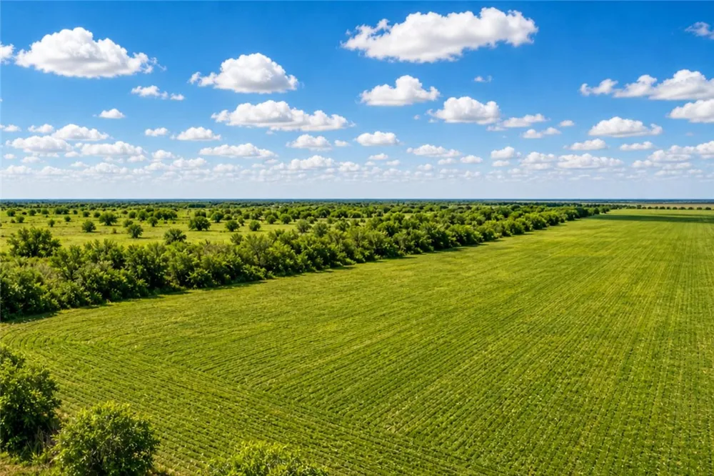 County Rd 48 Robstown, TX 78380