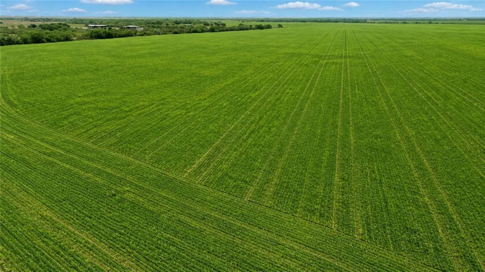 County Rd 48 Robstown, TX 78380