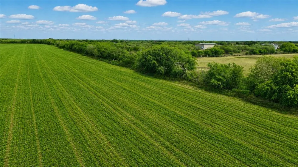 County Rd 48 Robstown, TX 78380