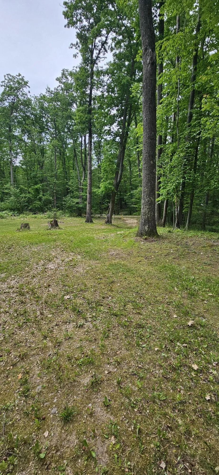 10527 Wampum Trail Evart, MI 49631