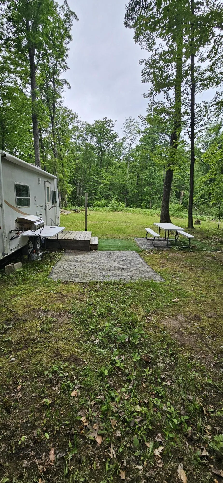 10527 Wampum Trail Evart, MI 49631