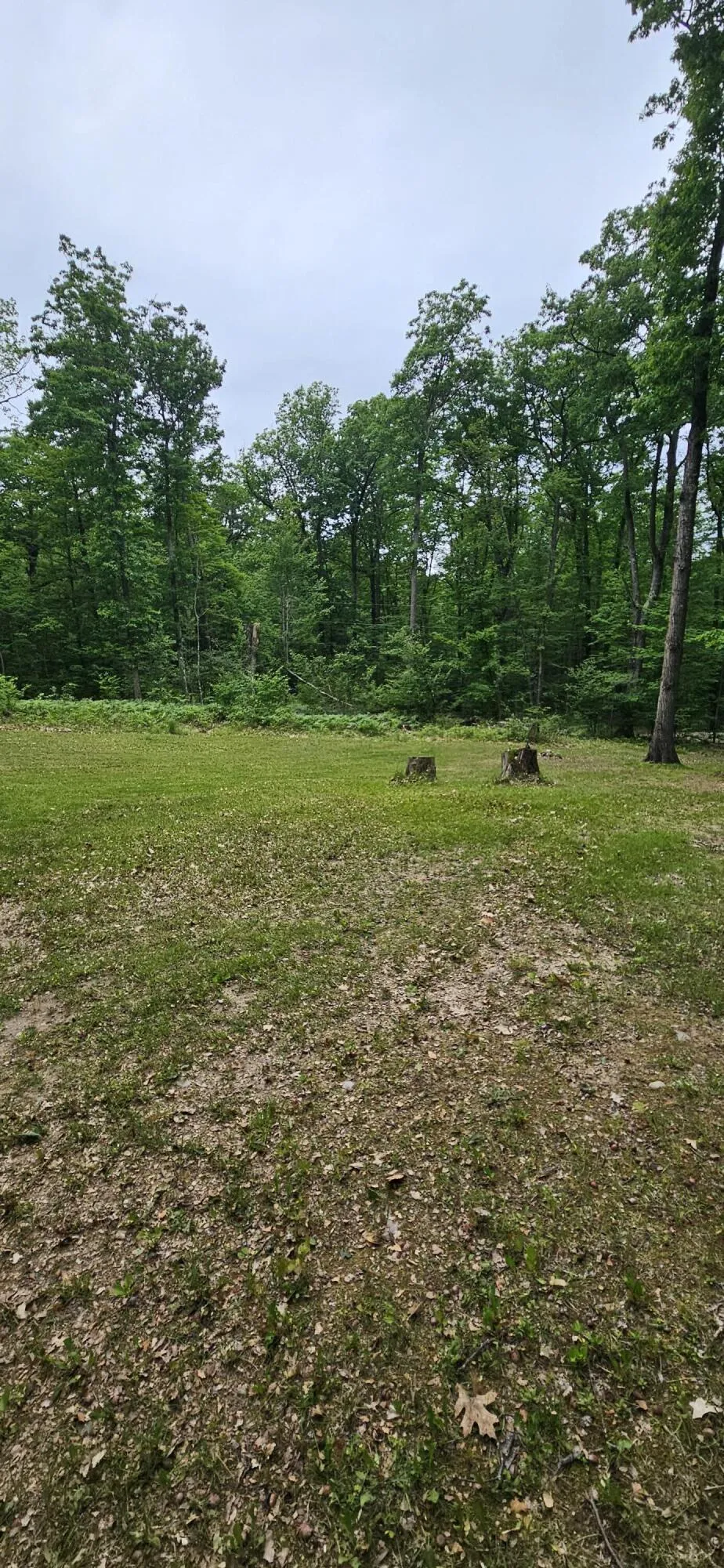 10527 Wampum Trail Evart, MI 49631