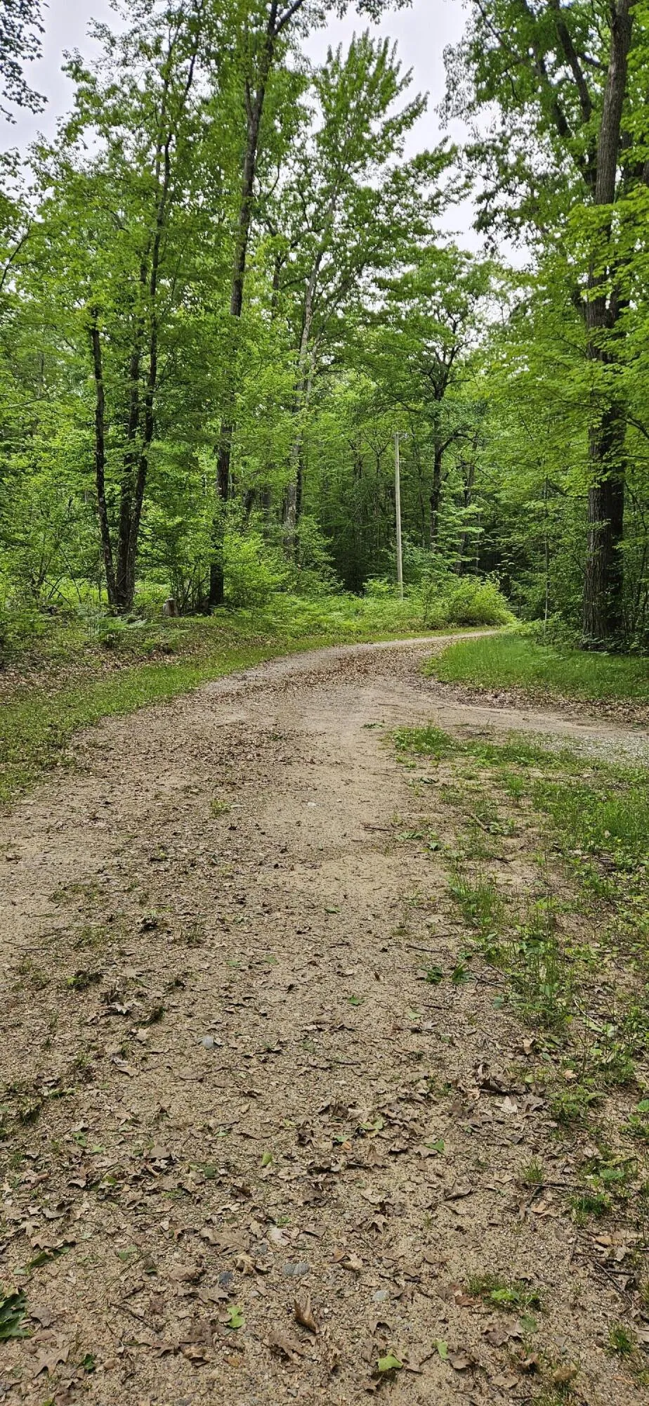 10527 Wampum Trail Evart, MI 49631