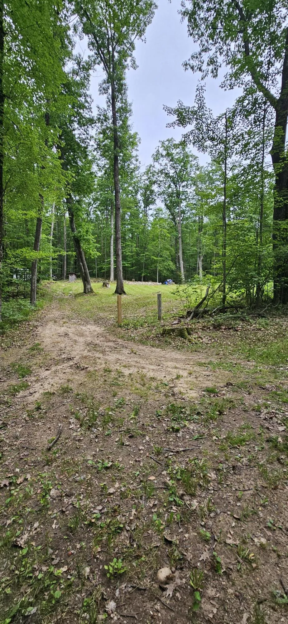 10527 Wampum Trail Evart, MI 49631