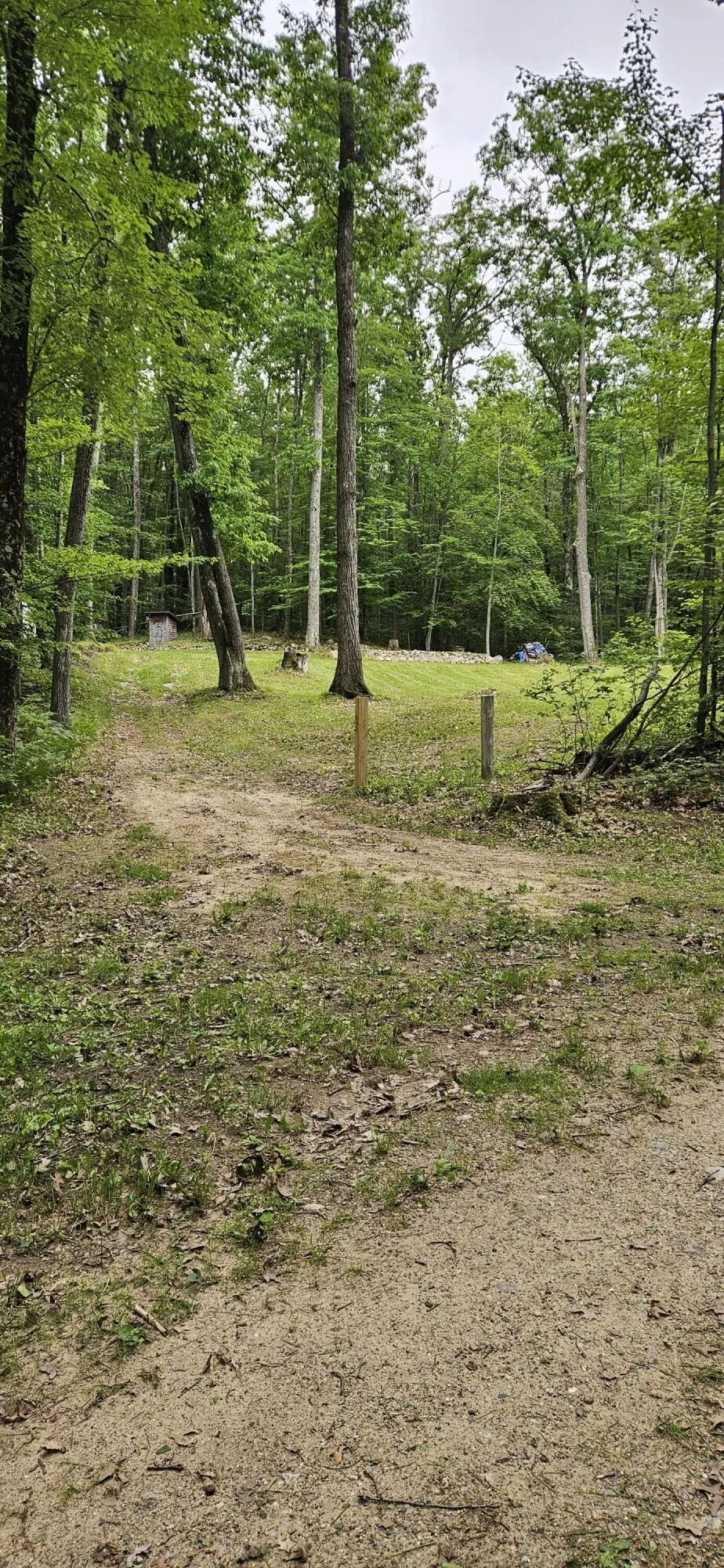 10527 Wampum Trail Evart, MI 49631