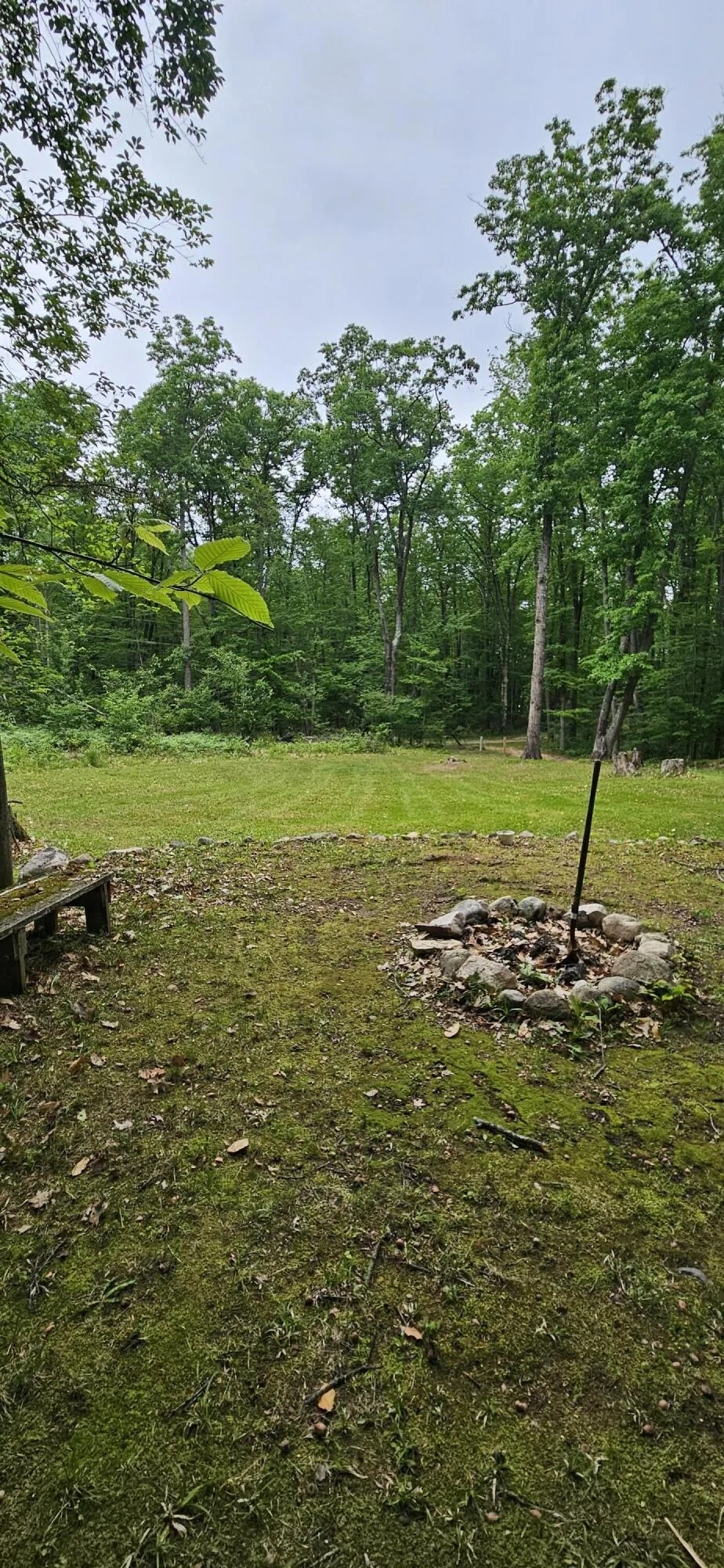 10527 Wampum Trail Evart, MI 49631