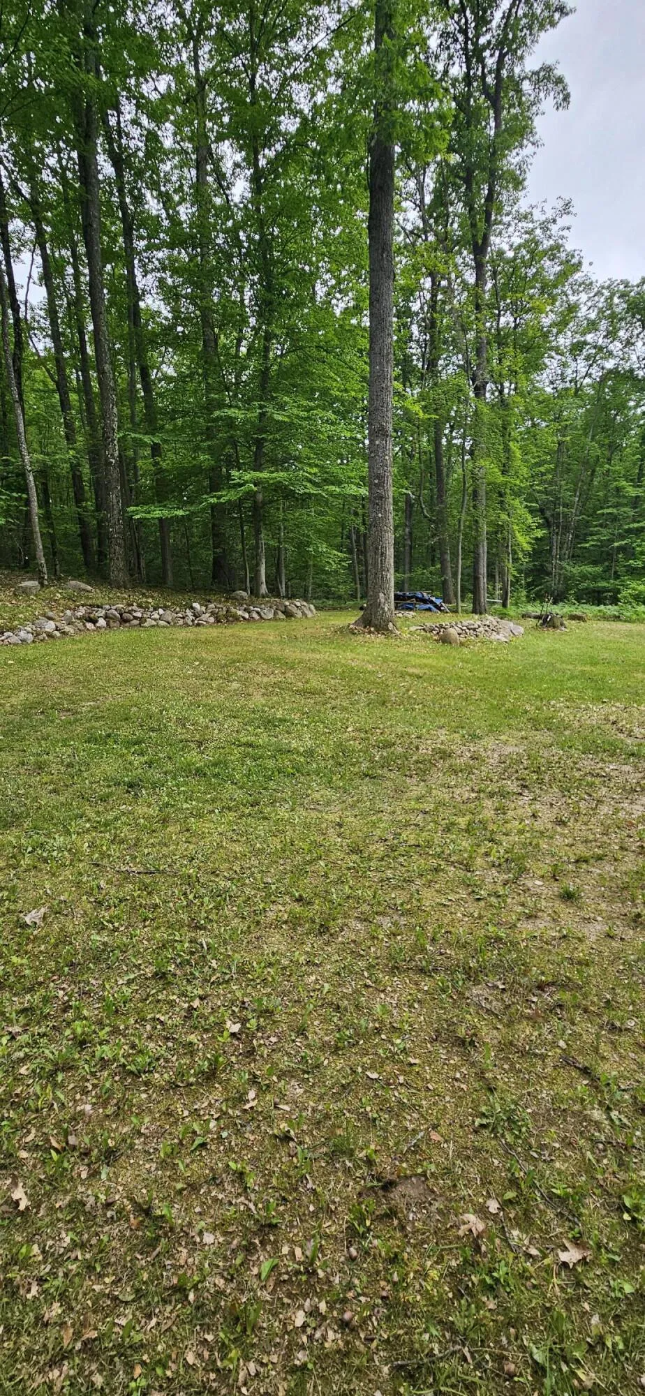 10527 Wampum Trail Evart, MI 49631