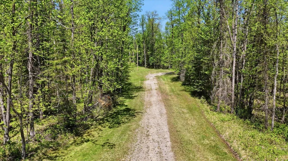 TBD TBD Cedar Point Road Marcell, MN 56657