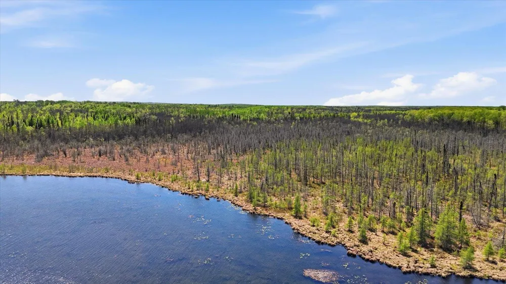 TBD TBD Cedar Point Road Marcell, MN 56657