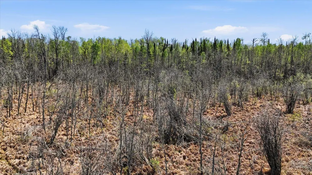 TBD TBD Cedar Point Road Marcell, MN 56657
