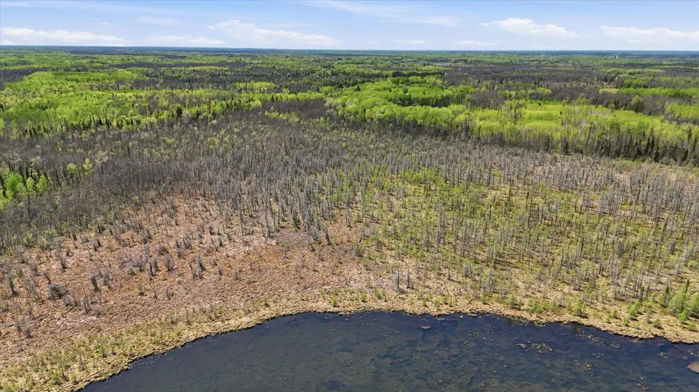 TBD TBD Cedar Point Road Marcell, MN 56657