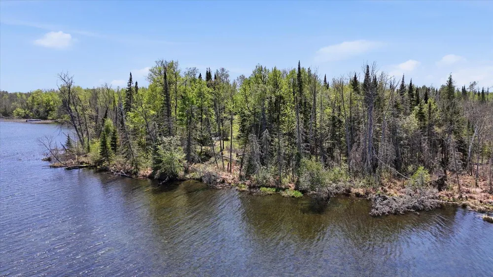 TBD TBD Cedar Point Road Marcell, MN 56657