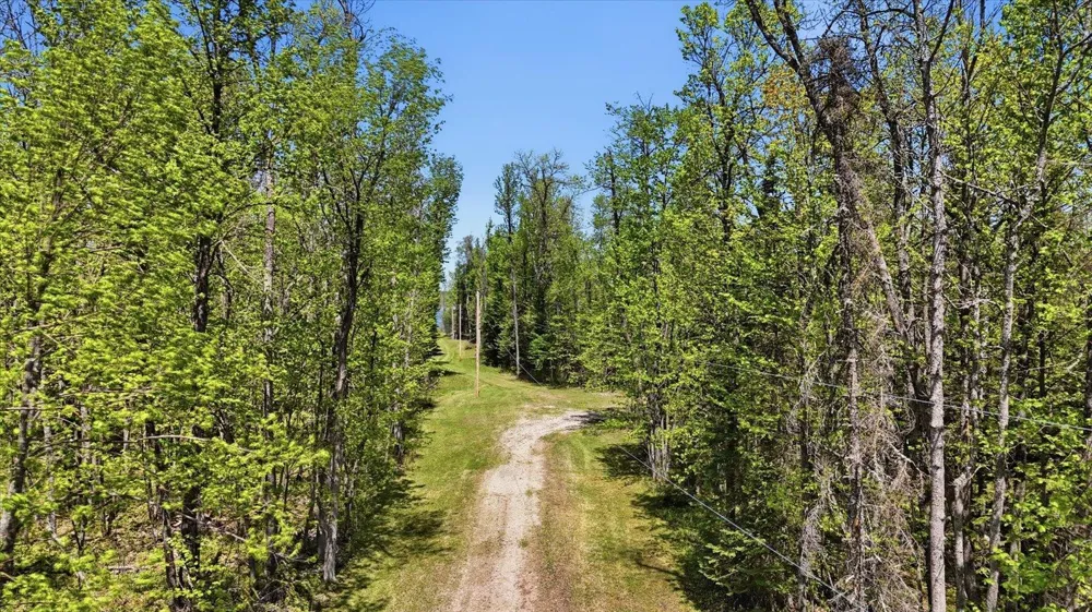 TBD TBD Cedar Point Road Marcell, MN 56657
