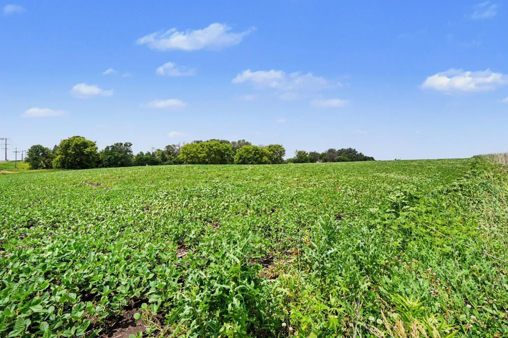 TBD 260th Street W New Prague, MN 56071