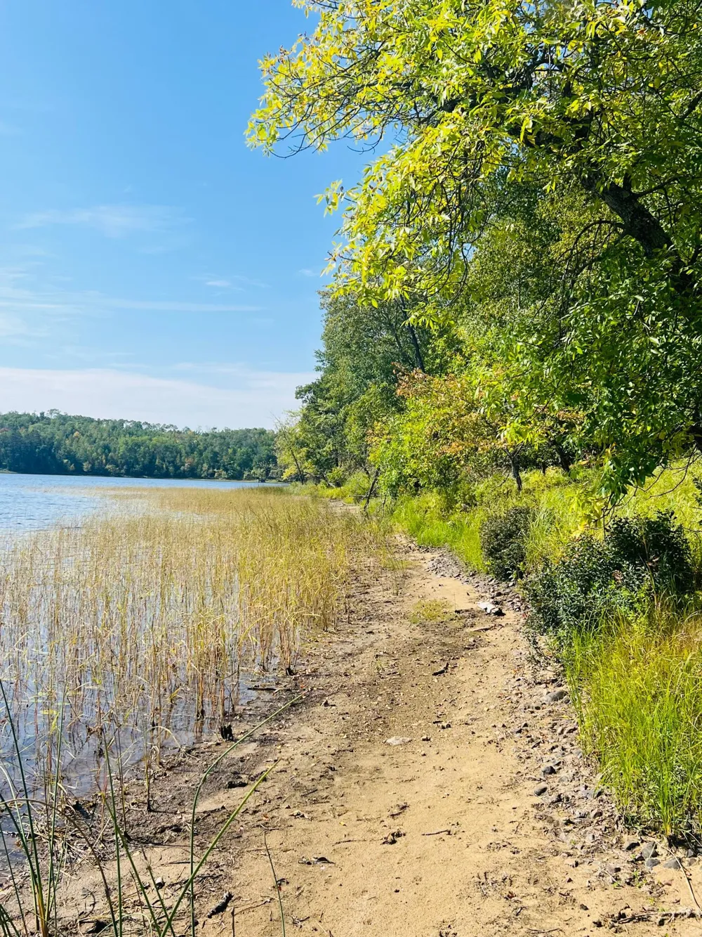 TBD Wolf Creek Road Bovey, MN 55709