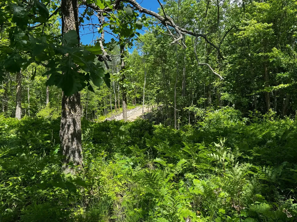 TBD Wolf Creek Road Bovey, MN 55709