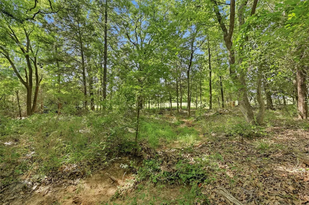 7277 W Line Road Collinsville, TX 76233