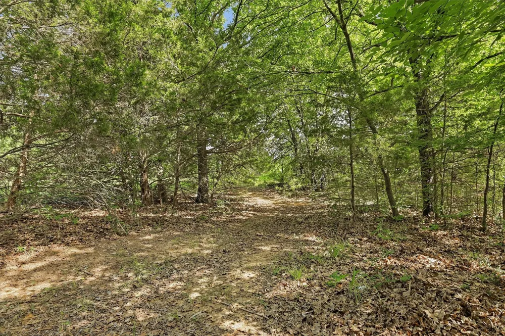 7277 W Line Road Collinsville, TX 76233