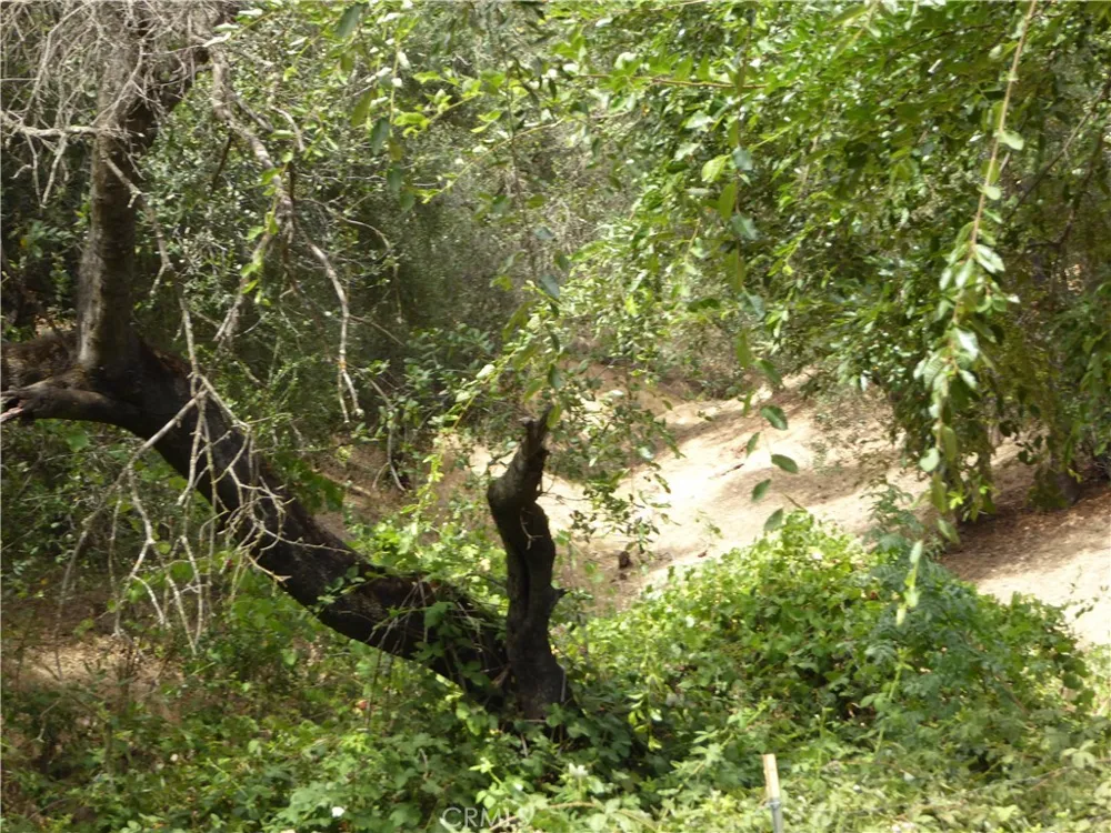 89 Glen Circle Oroville, CA 95966