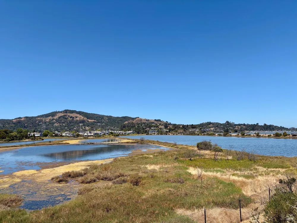 22 Hyannis Cove San Rafael, CA 94901