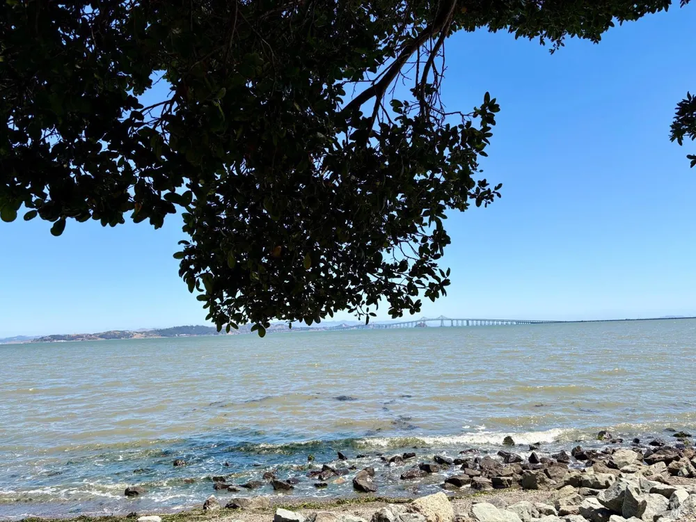 22 Hyannis Cove San Rafael, CA 94901