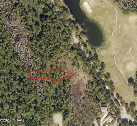 International Golf Drive