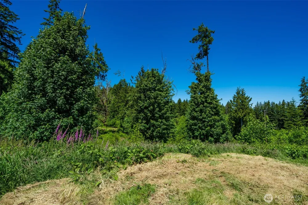 0 S Silver Lake Lot 6 Road Castle Rock, WA 98611