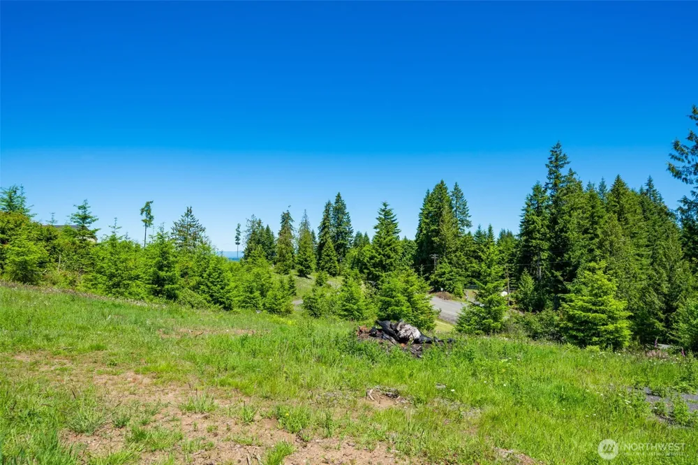 0 S Silver Lake Lot 6 Road Castle Rock, WA 98611