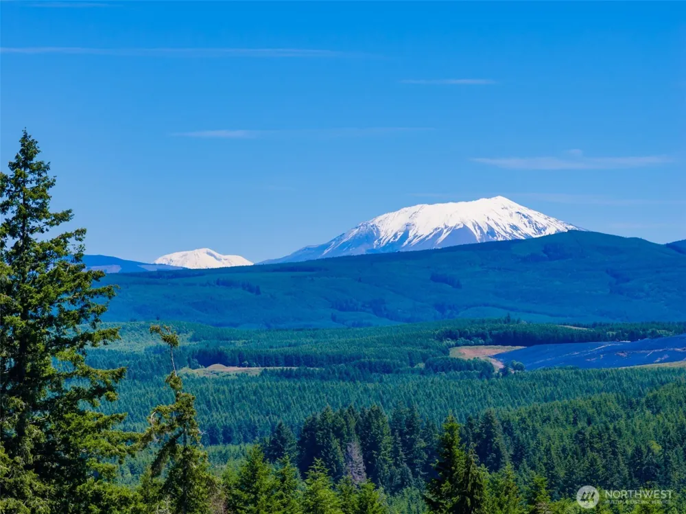 0 S Silver Lake Lot 6 Road Castle Rock, WA 98611