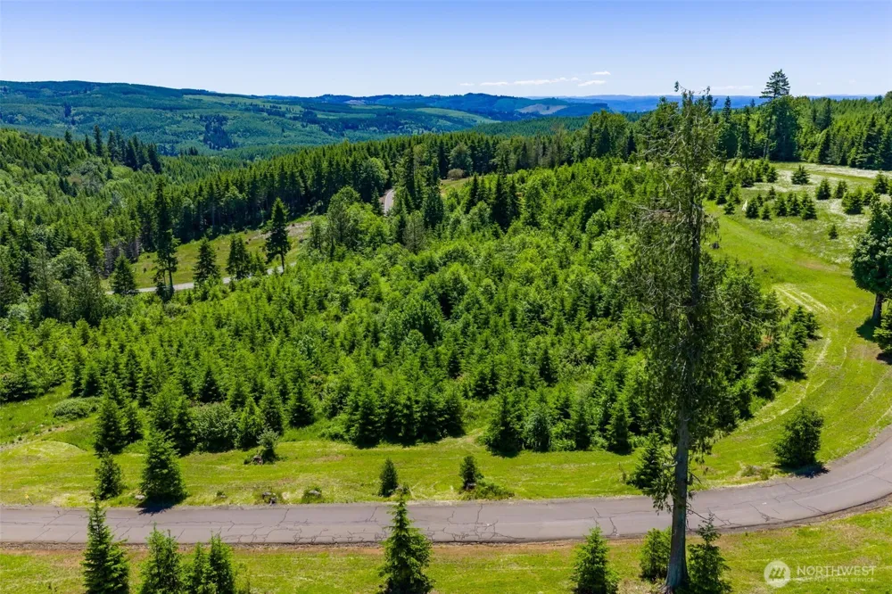 0 S Silver Lake Lot 6 Road Castle Rock, WA 98611