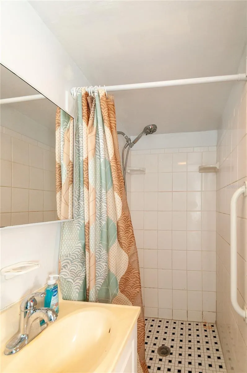 1235 BASS BOULEVARD Dunedin, FL 34698