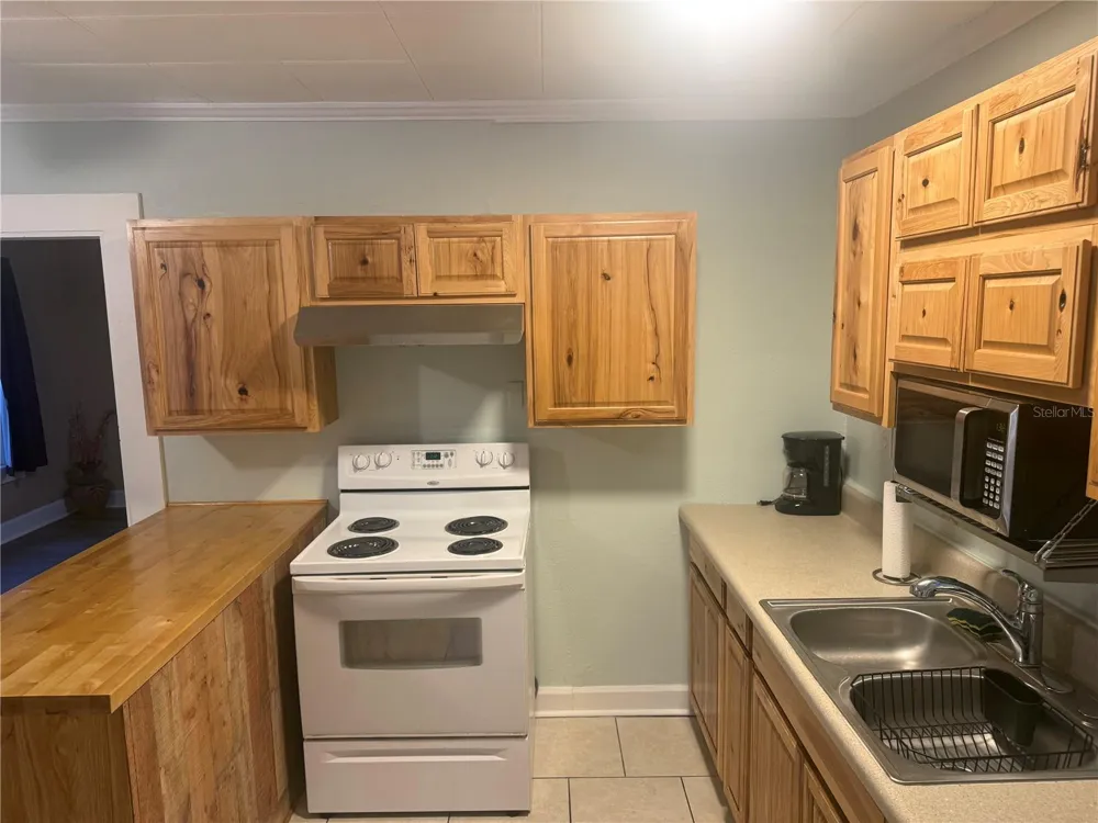1235 BASS BOULEVARD Dunedin, FL 34698