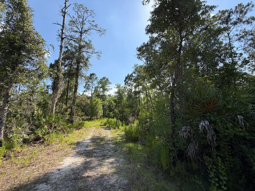 1842 SWEETWATER BEND Deltona, FL 32738