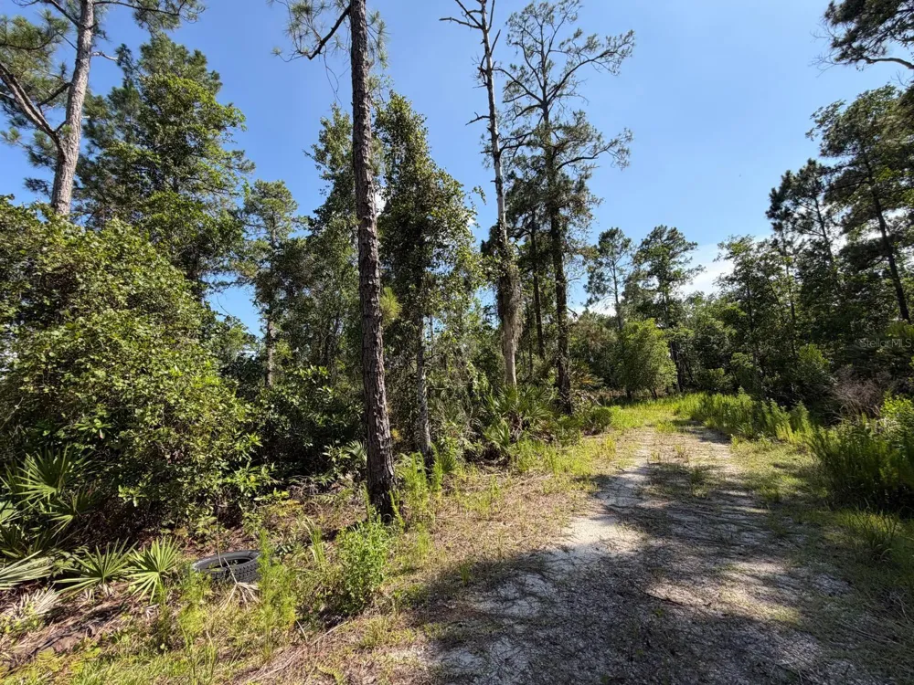 1842 SWEETWATER BEND Deltona, FL 32738