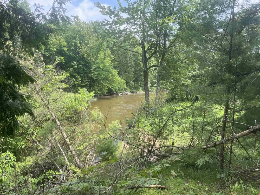 Washington Road Arenac Township, MI 48749